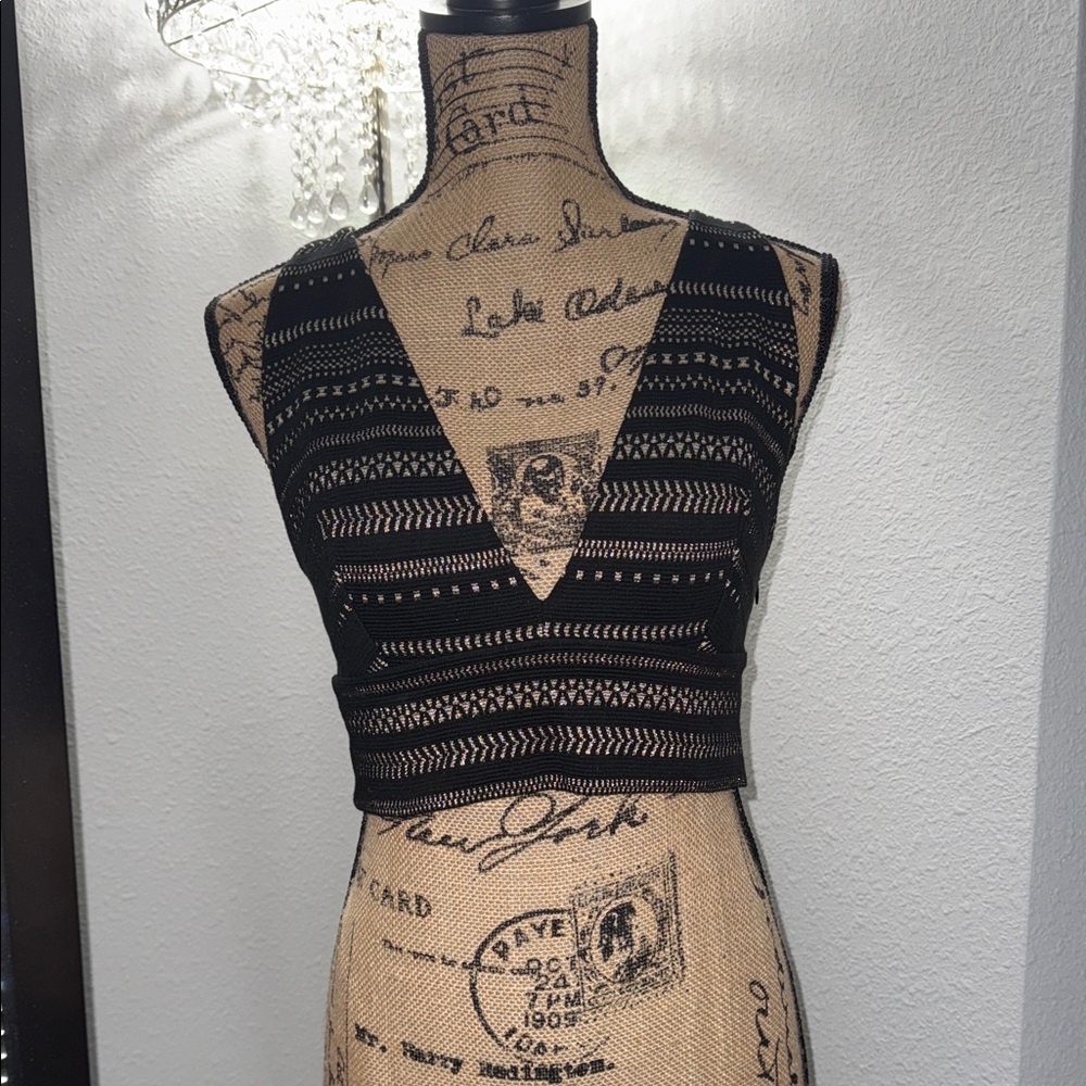 Express Black & Gold Plunging V-Neck Crop Top NWOT